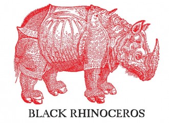 Black Rhinoceros